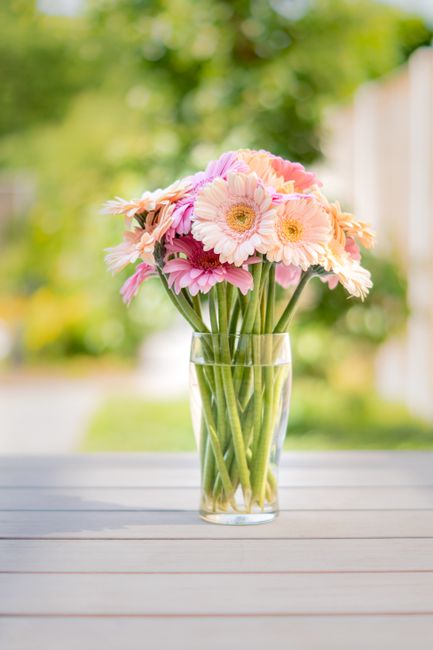 A clear glass vase filled with a bouquet of fresh Gerbera daisies in soft pink, peach, and cream tones, with long green stems visible through the transparent container. The arrangement features a mix 