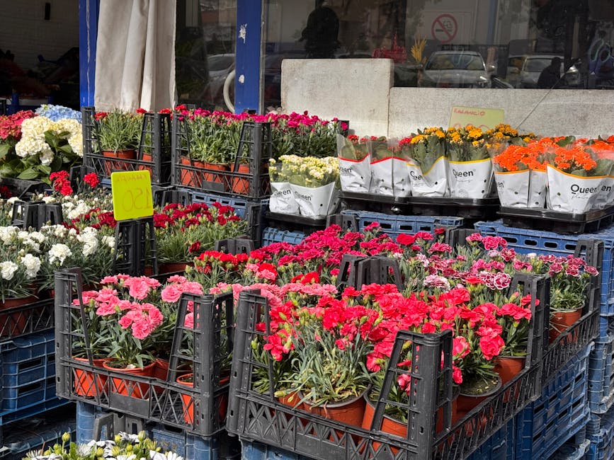 Outdoor display of potted flowering plants arranged in black plastic crates, featuring bright pink and red carnations, white daisies, and orange marigolds wrapped in white paper with decorative ribbon